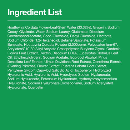 Heartleaf Quercetinol Pore Deep Cleansing Foam