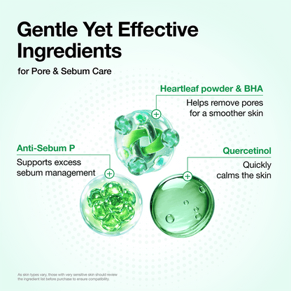 Heartleaf Quercetinol Pore Deep Cleansing Foam